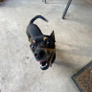 Meet your Posher, Ethan